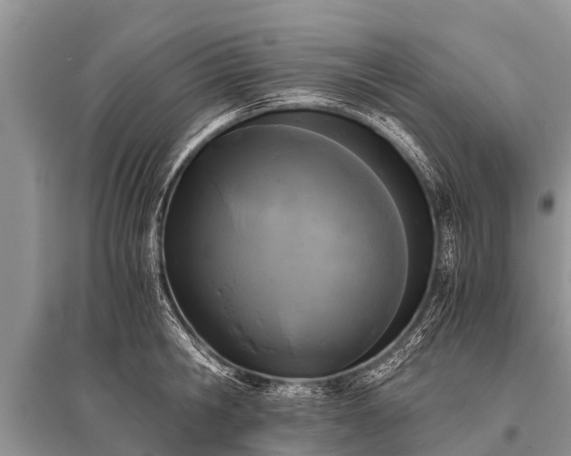 X0000096140806200801251040