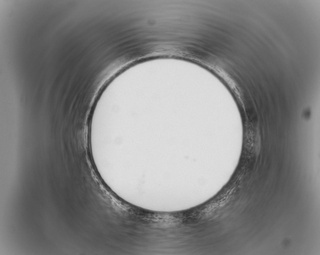 X0000096140807200801251040