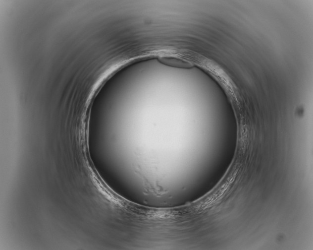 X0000096140808200801251040