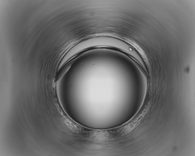 X0000096140809200801251040