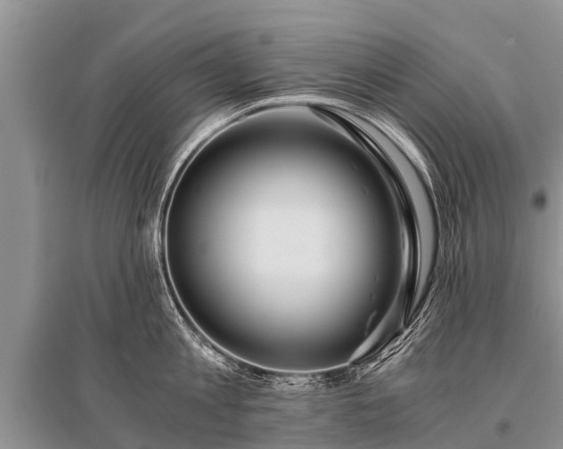 X0000096140813200801251040