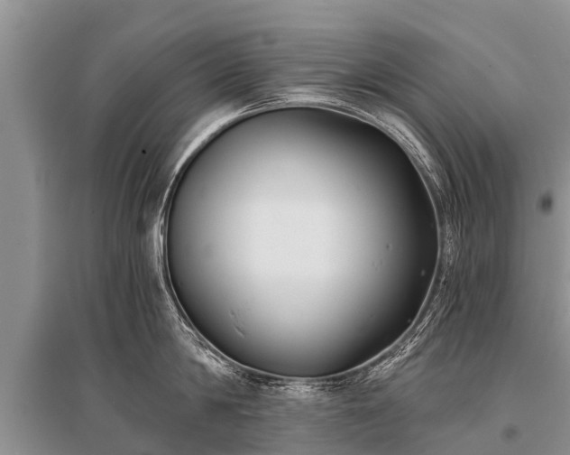 X0000096140814200801251040
