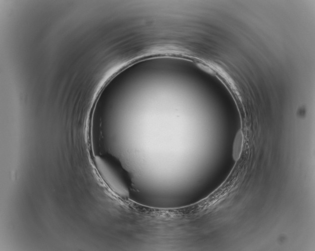 X0000096140815200801251040
