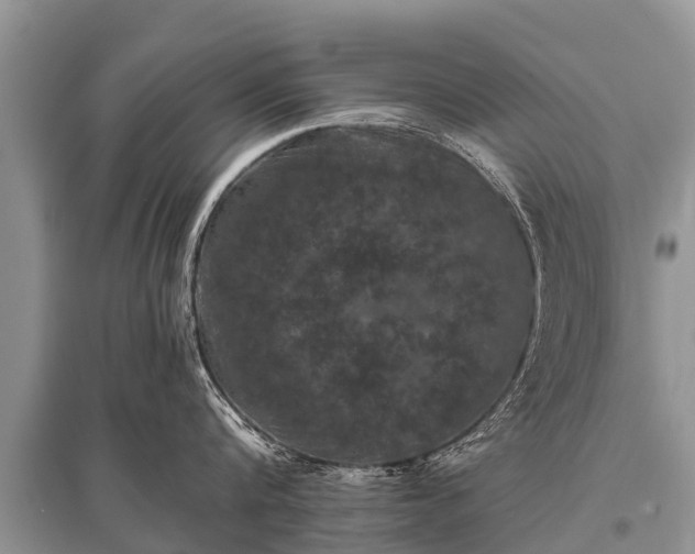 X0000096140816200801251039