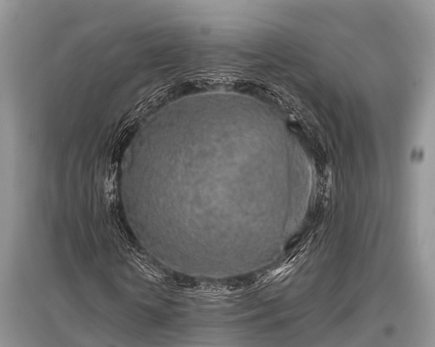 X0000096140818200801251039