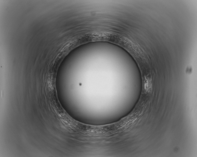 X0000096140819200801251039