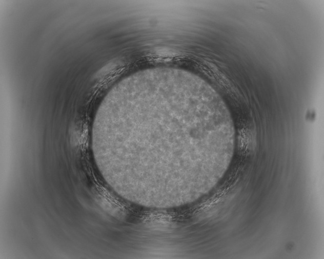 X0000096140820200801251039