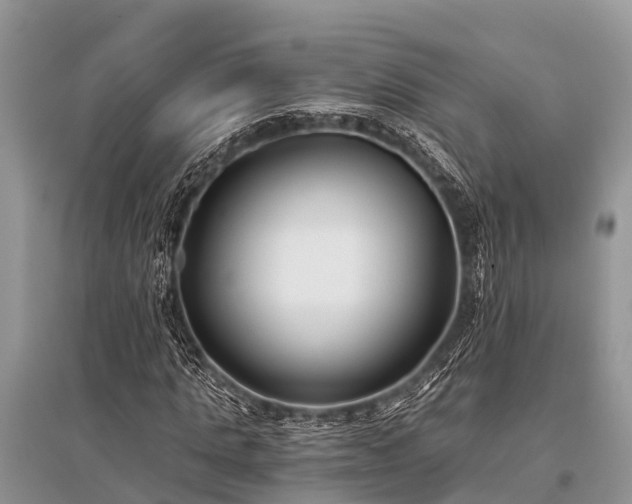 X0000096140821200801251039