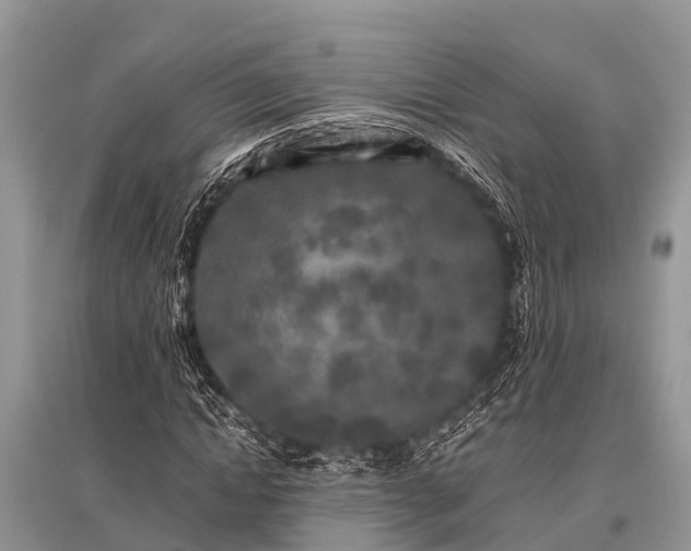 X0000096140822200801251039