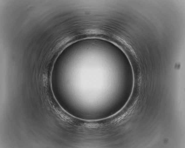 X0000096140825200801251039
