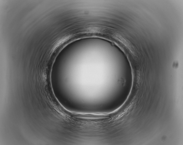 X0000096140826200801251039