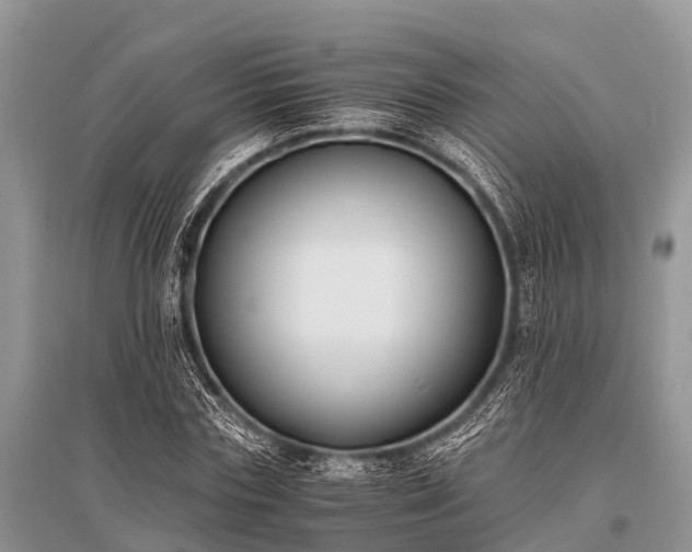 X0000096140827200801251039