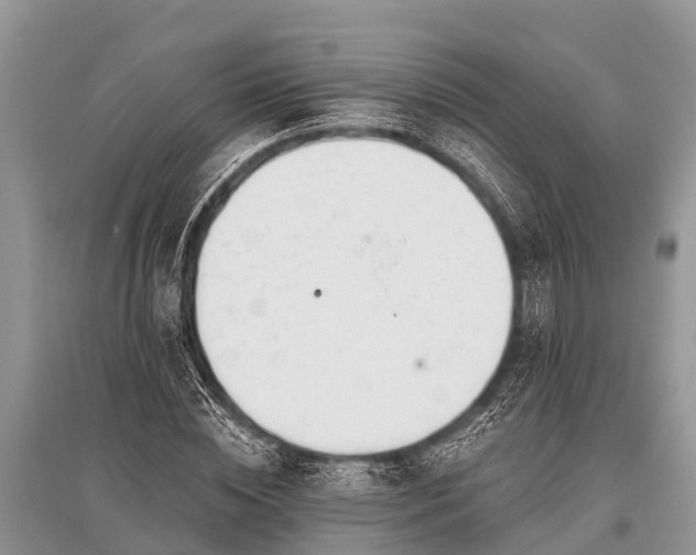 X0000096140828200801251039