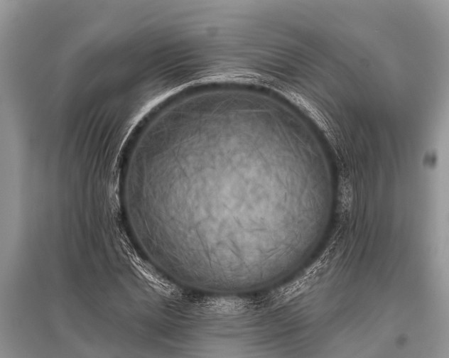 X0000096140830200801251039