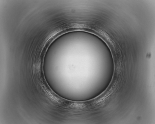 X0000096140831200801251039