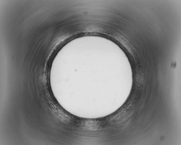 X0000096140832200801251039