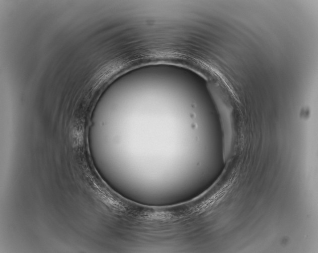 X0000096140833200801251039