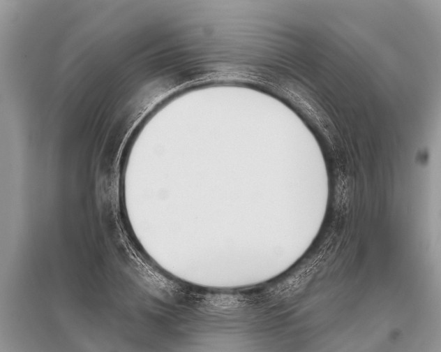 X0000096140836200801251039