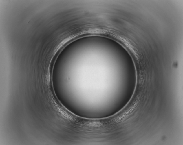 X0000096140837200801251039