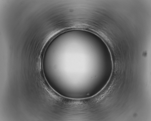 X0000096140838200801251039