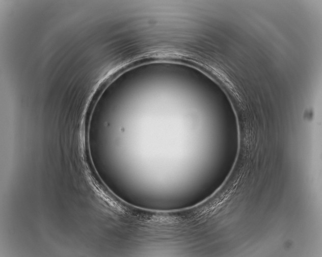 X0000096140840200801251039