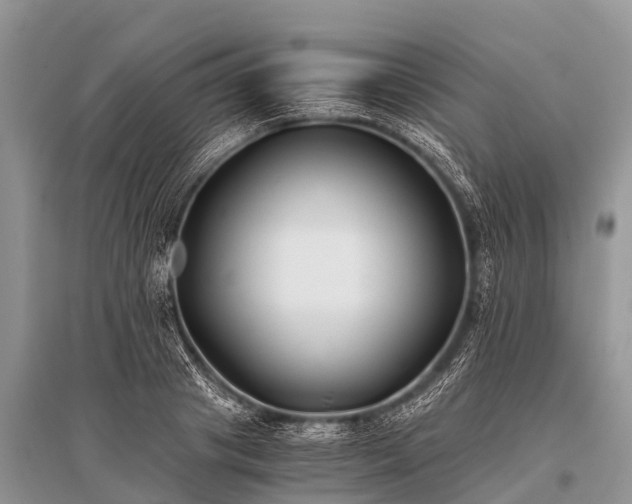 X0000096140841200801251039