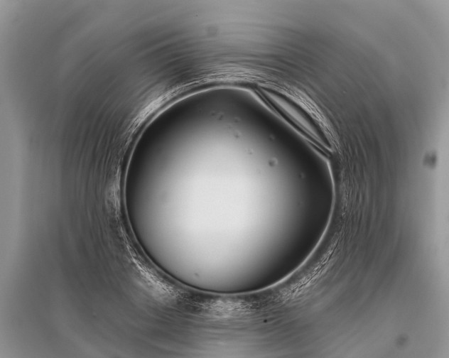 X0000096140842200801251039