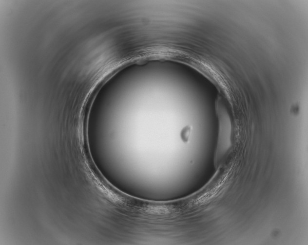 X0000096140843200801251039