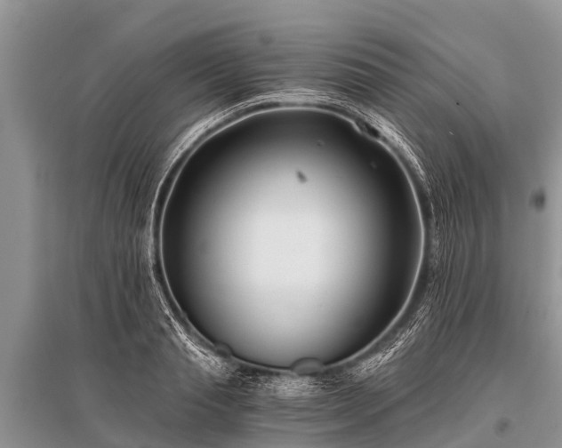 X0000096140845200801251039