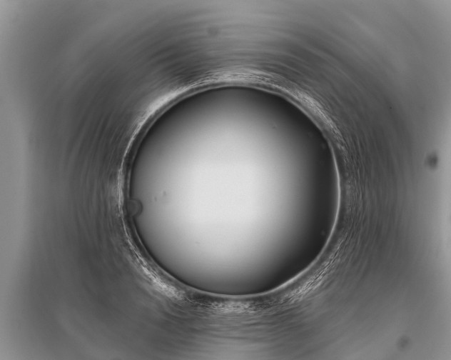 X0000096140846200801251039