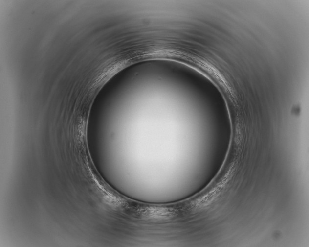 X0000096140849200801251039