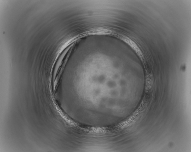 X0000096140850200801251039
