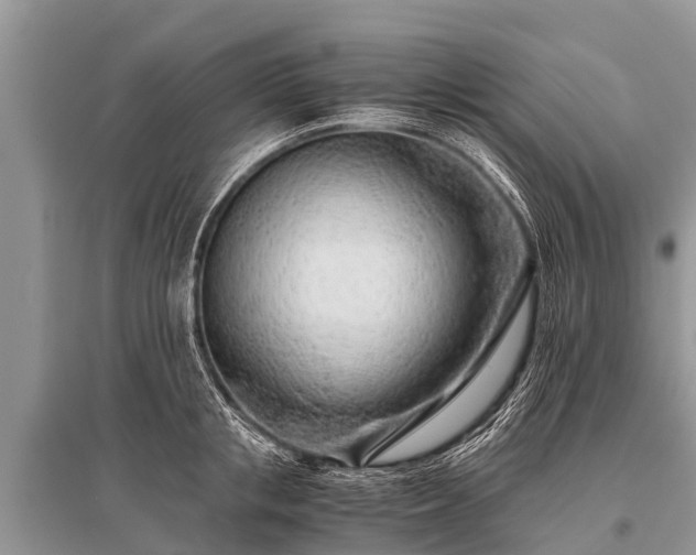 X0000096140853200801251039