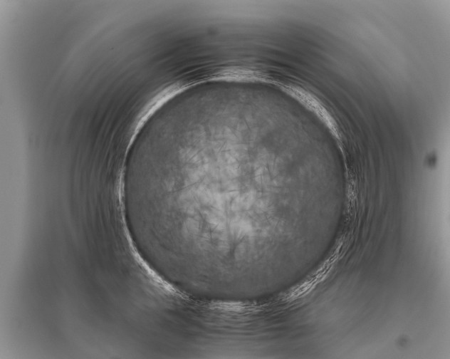 X0000096140855200801251039