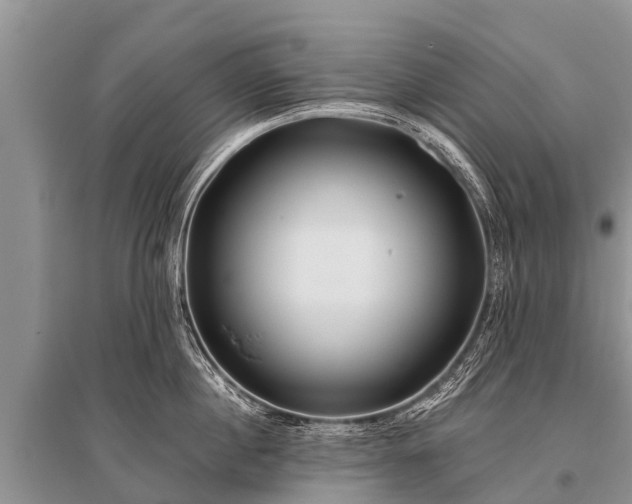 X0000096140860200801251039