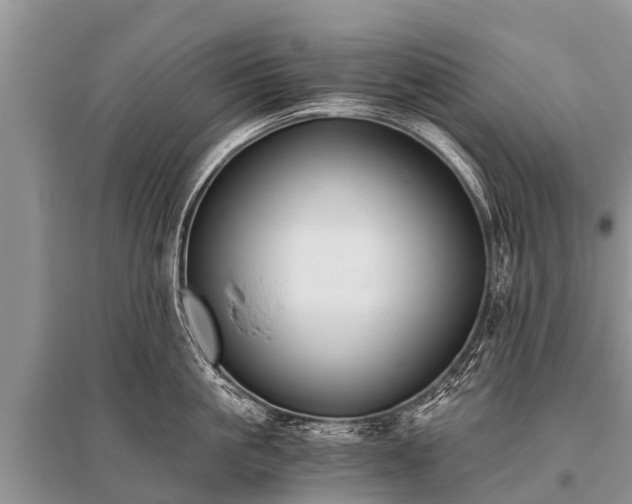 X0000096140861200801251039
