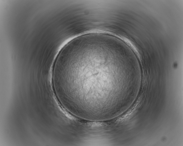 X0000096140862200801251039