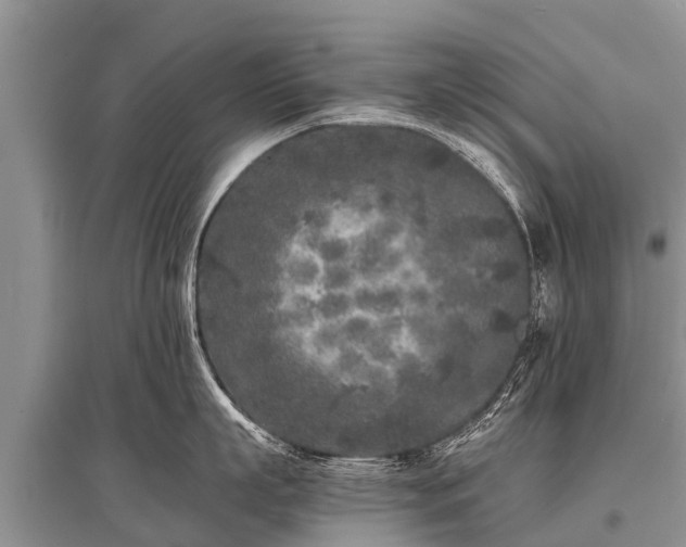 X0000096140863200801251039