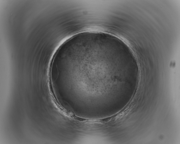 X0000096140864200801251039