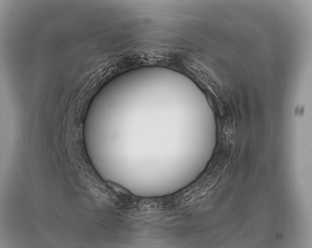 X0000096140865200801251039