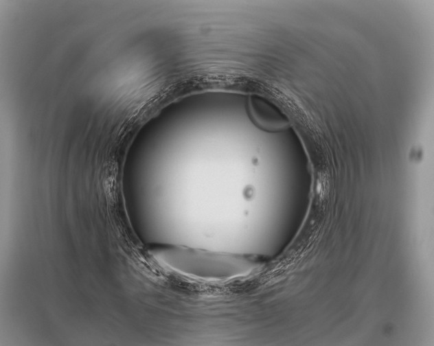 X0000096140867200801251039