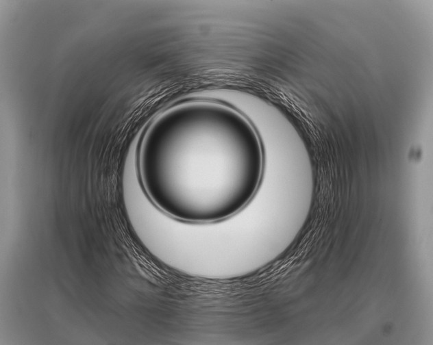 X0000096140868200801251039