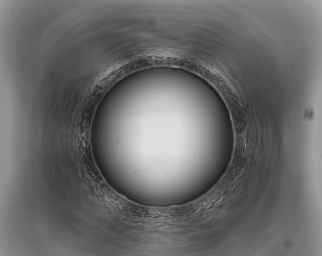 X0000096140870200801251039