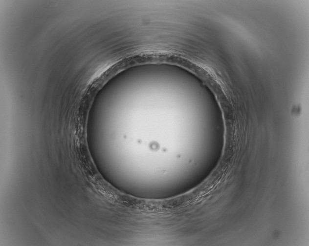 X0000096140871200801251039