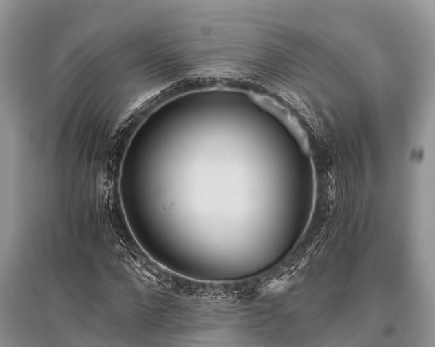 X0000096140872200801251039