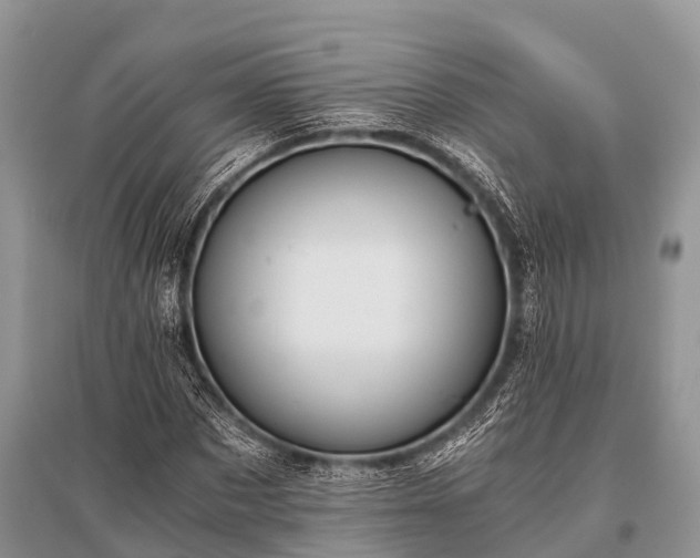 X0000096140873200801251039