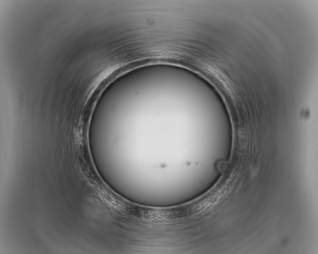 X0000096140875200801251039