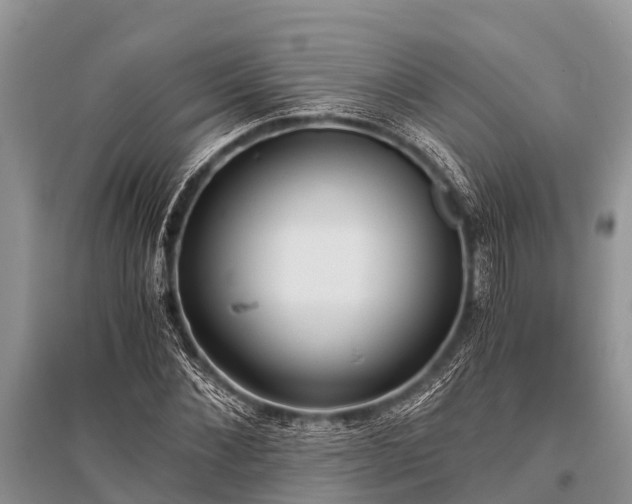 X0000096140876200801251038