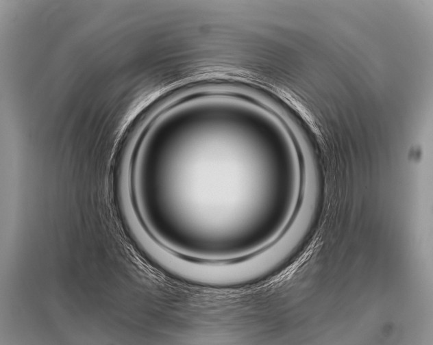 X0000096140877200801251038