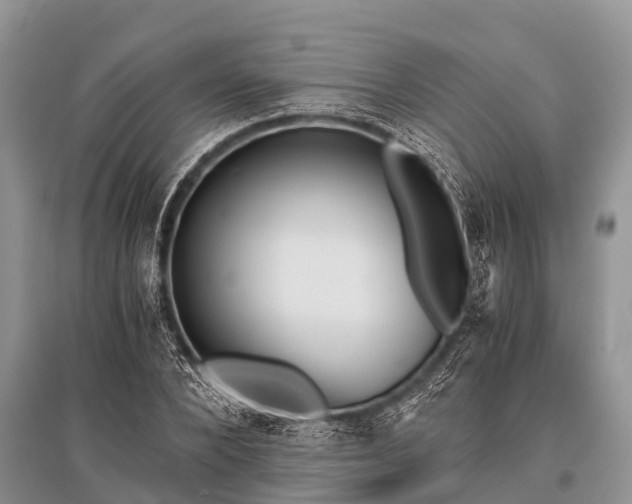 X0000096140880200801251038